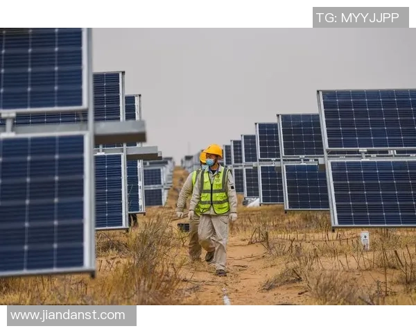 专访刘磊揭秘飞盘运动崛起背后的成功秘诀与未来展望 专访刘磊揭秘飞盘运动崛起背后的成功秘诀与未来展望