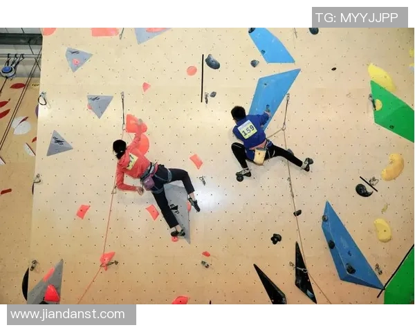 成都攀岩队的灵活性探讨与攀岩运动的未来发展方向