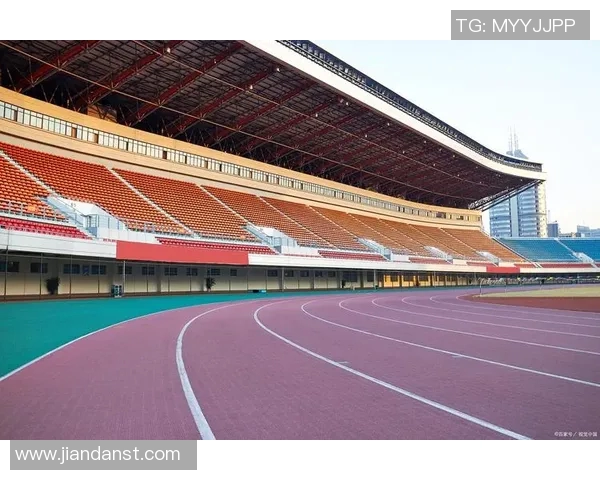 重庆篮球队的转型升级之路探索与未来展望