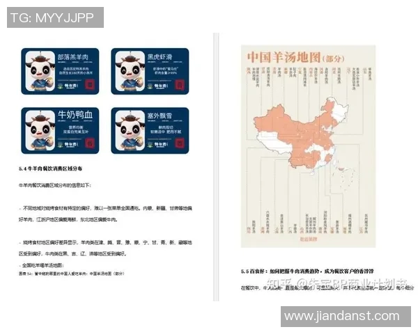 北京羽毛球队运营革新全景解析助力体育发展新局面